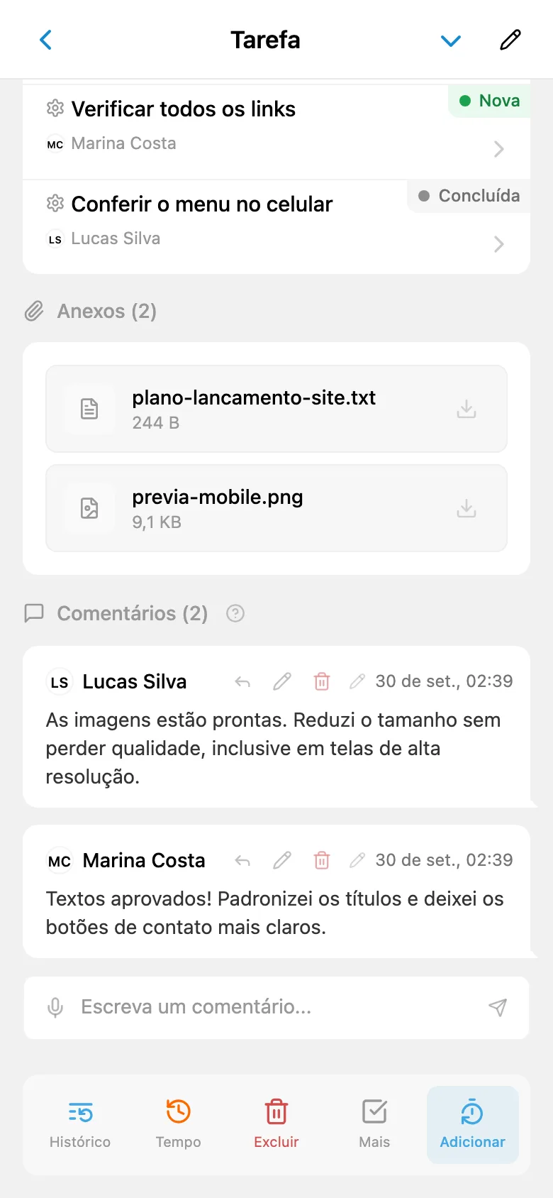 Tarefa do novo site com responsável, checklist e subtarefas