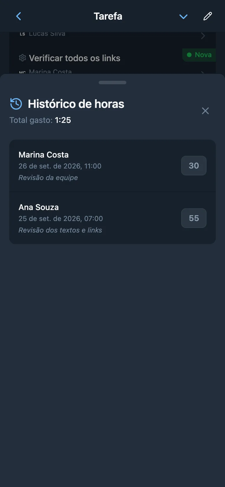 Registros de horas da tarefa com durações e comentários