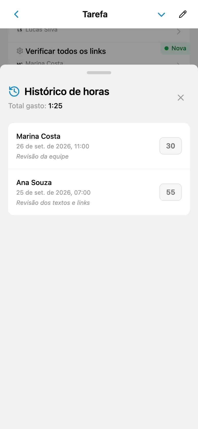 Registros de horas da tarefa com durações e comentários
