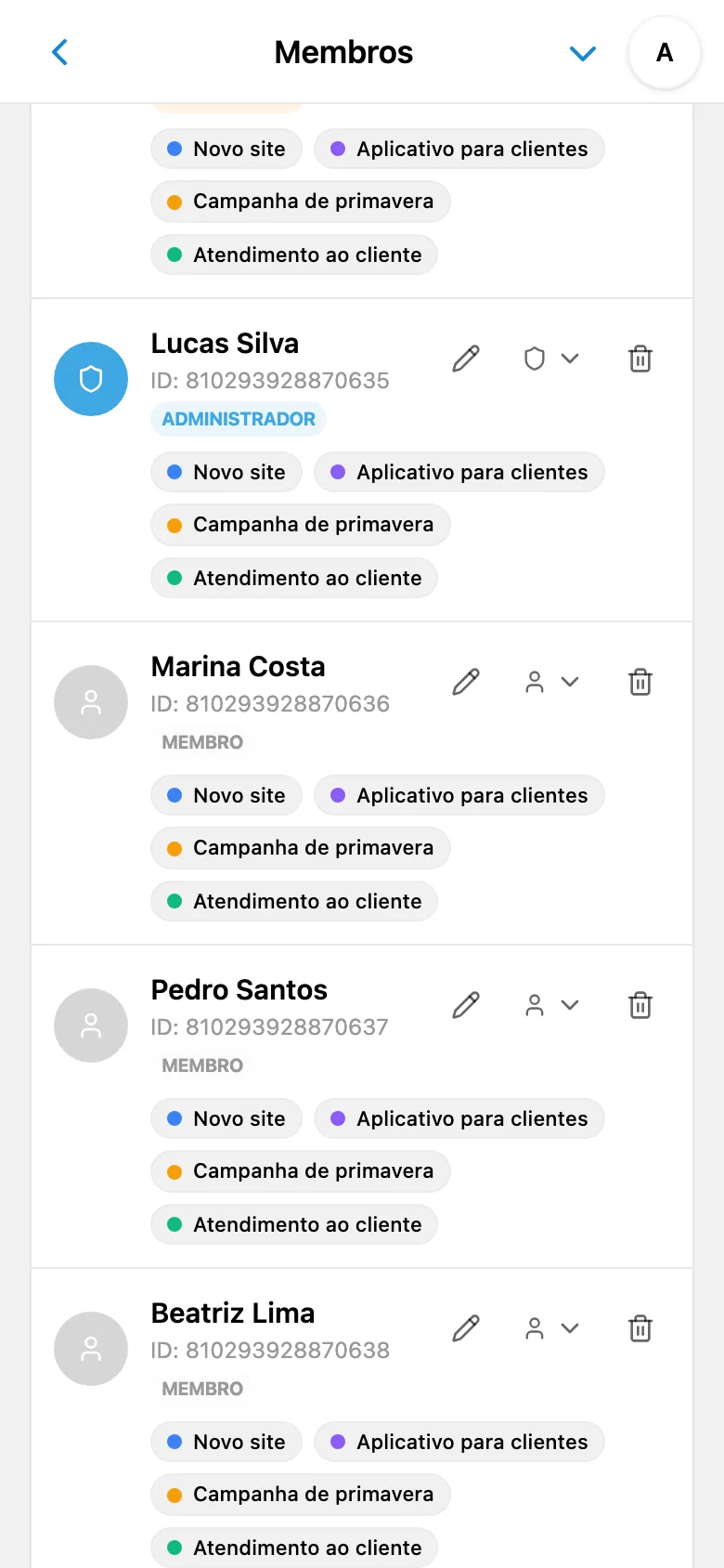 Lista de membros do espaço de trabalho com suas funções