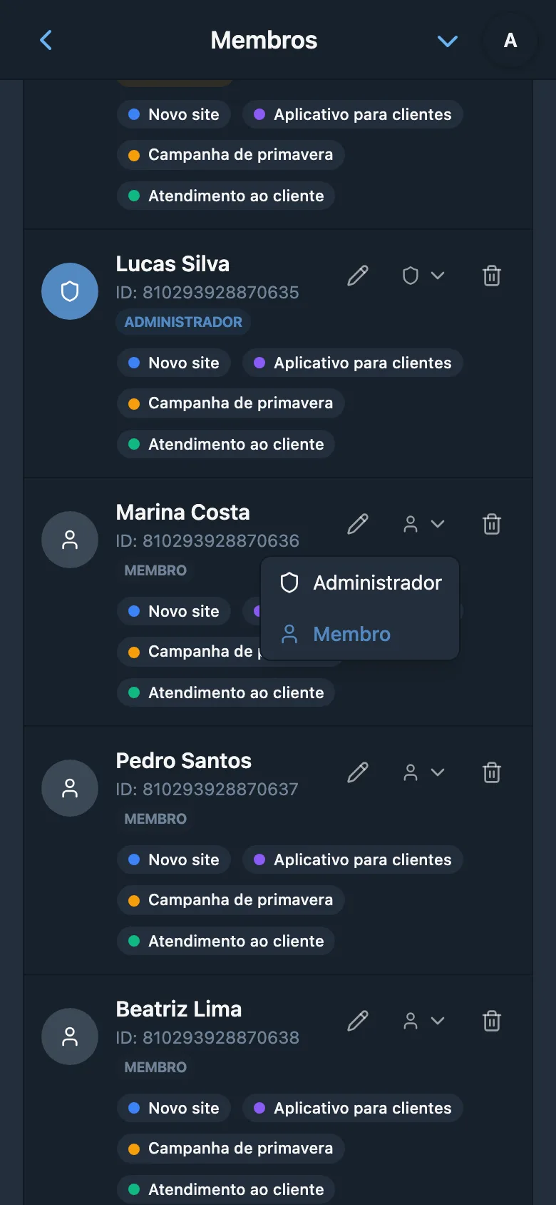 Seleção da função de um membro do espaço de trabalho