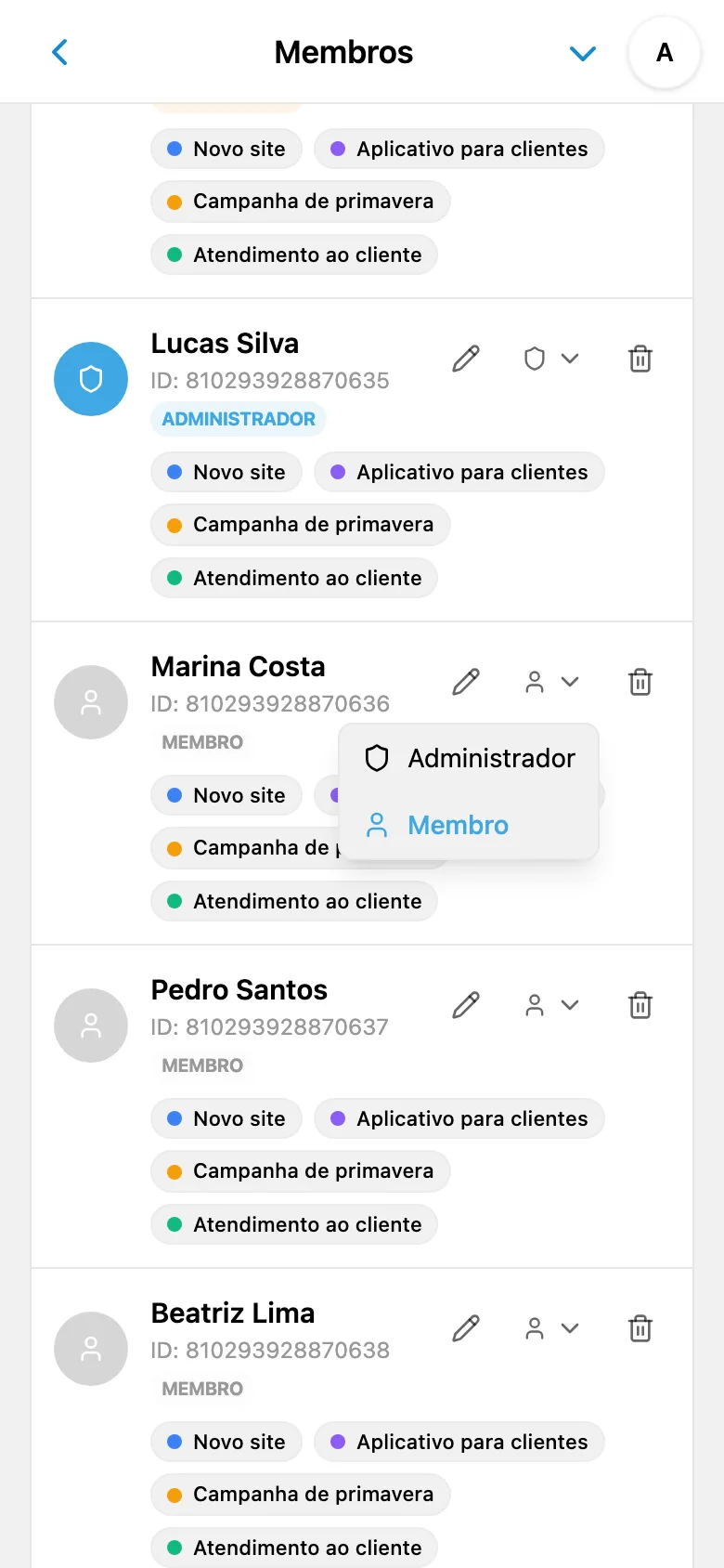 Seleção da função de um membro do espaço de trabalho