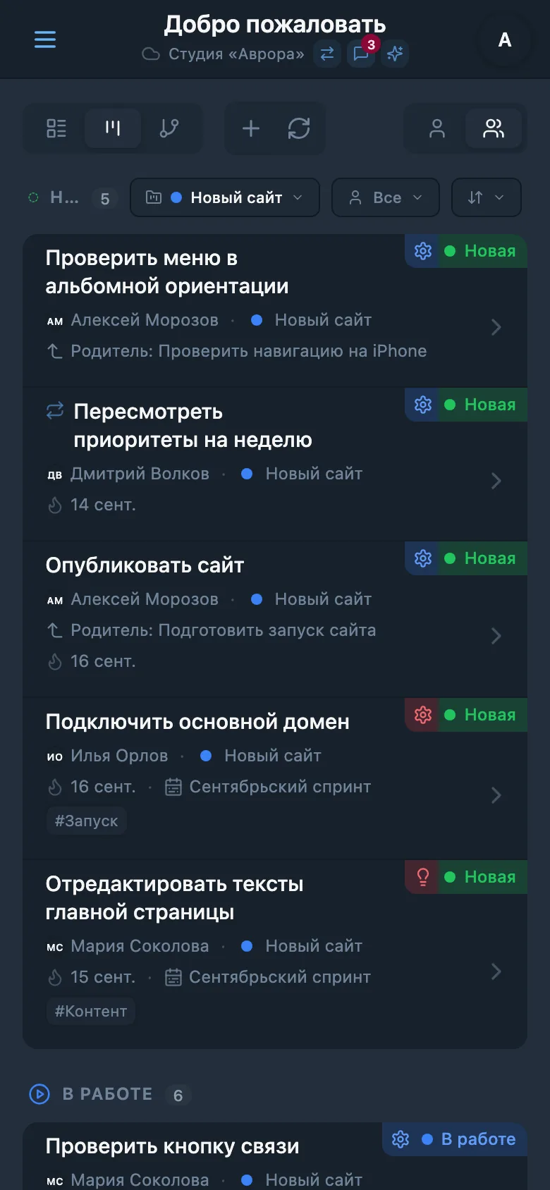 Задачи выбранного проекта с его цветовой меткой