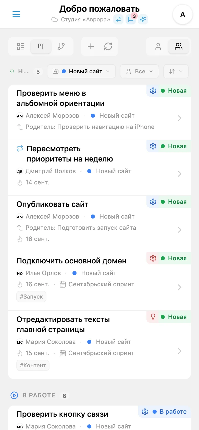 Задачи выбранного проекта с его цветовой меткой