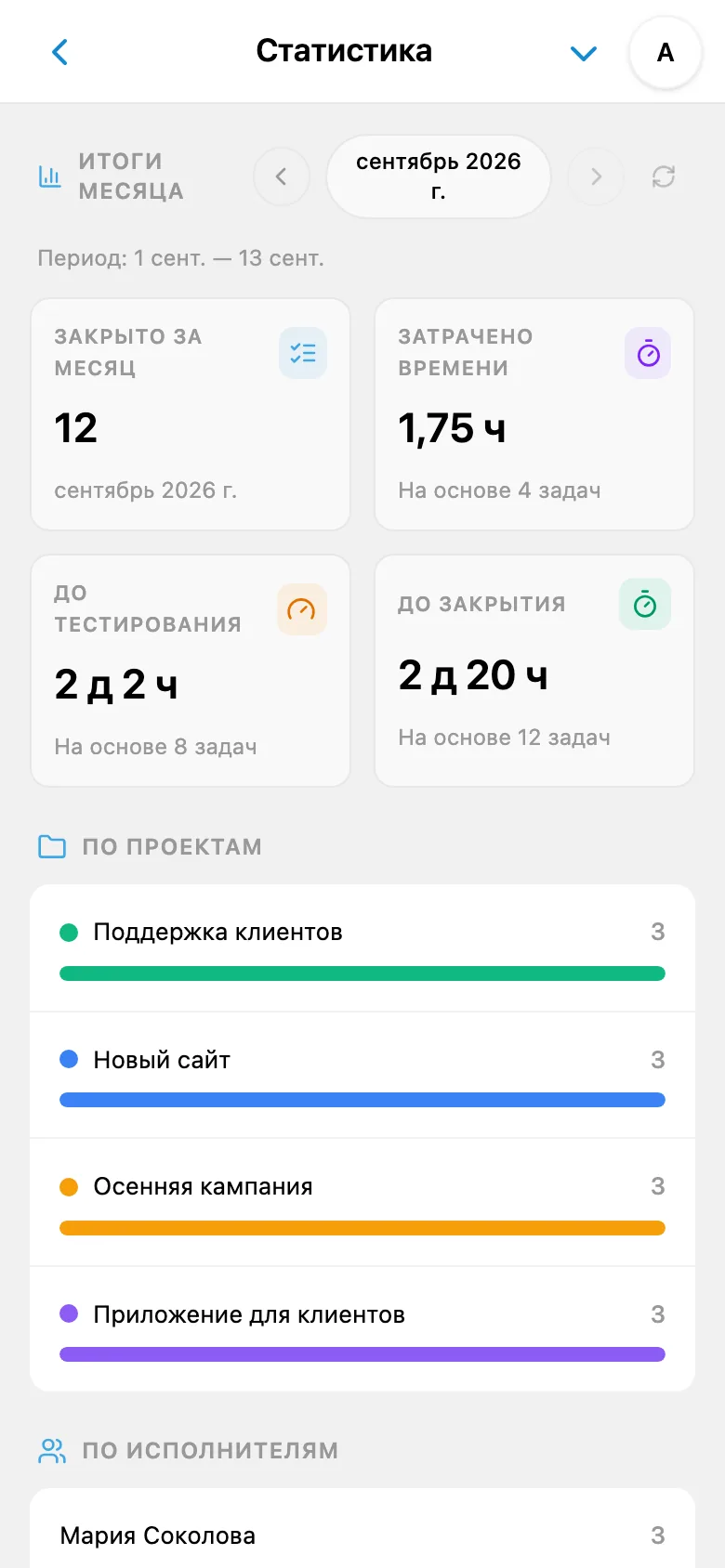 Статистика работы по проектам и участникам