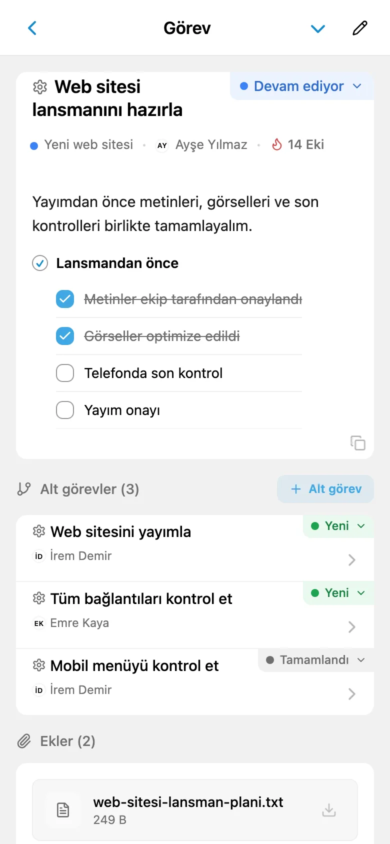 Sorumlu, kontrol listesi ve alt görevleri içeren yeni web sitesi görev kartı