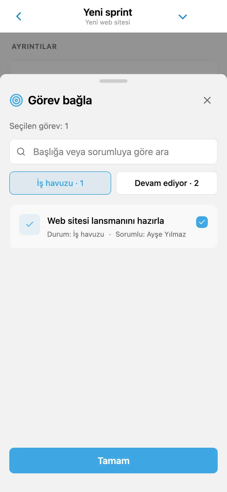 Sprinte eklemek üzere proje iş havuzundan görev seçimi