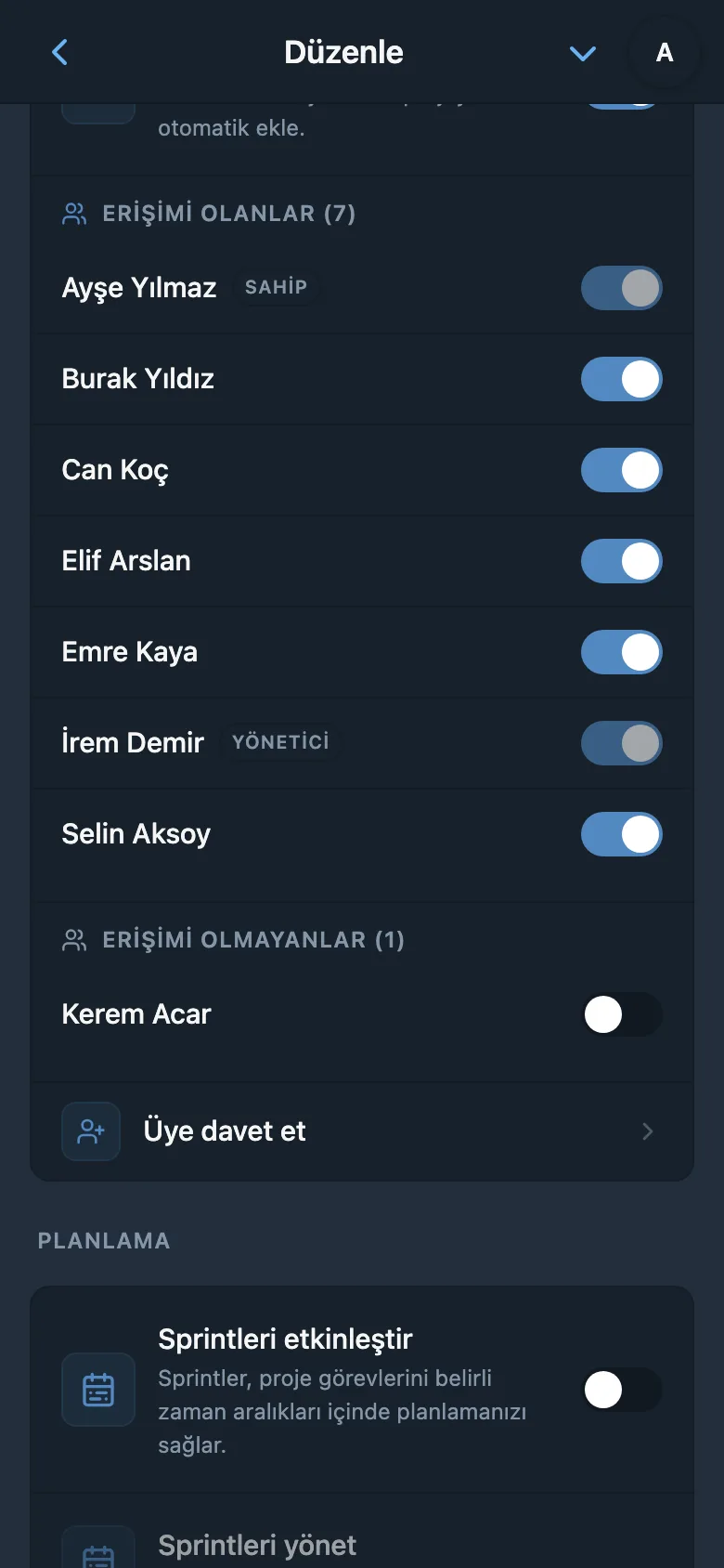 Proje erişimi ayarları