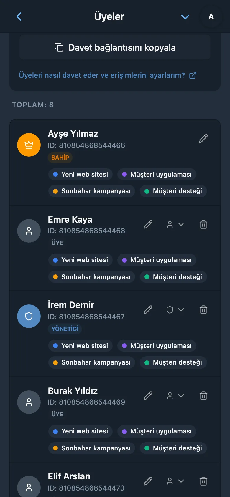 Atanmış rolleriyle çalışma alanı üye listesi