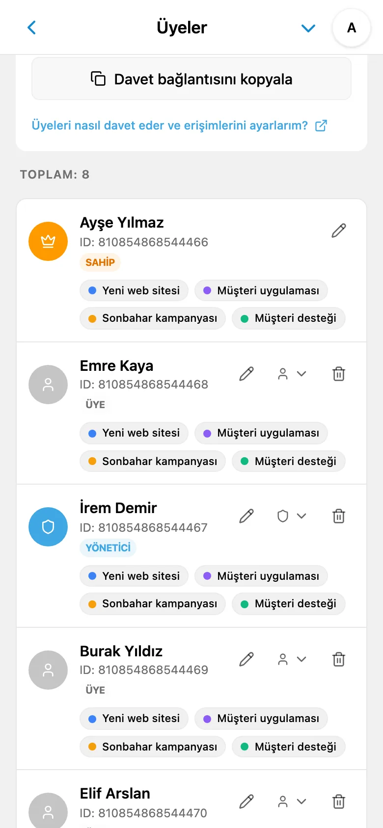 Atanmış rolleriyle çalışma alanı üye listesi