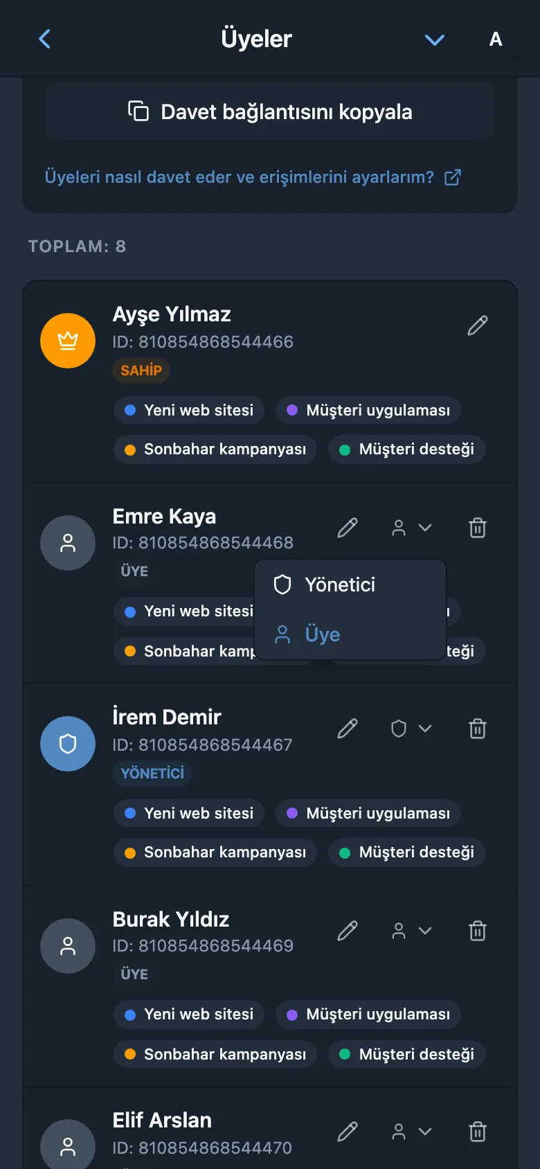Çalışma alanı üyesinin rolünü seçme