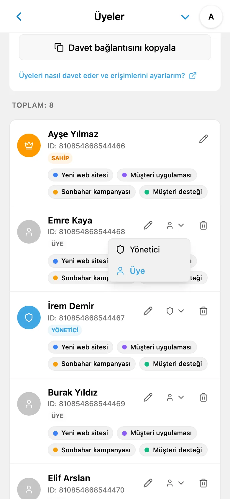 Çalışma alanı üyesinin rolünü seçme