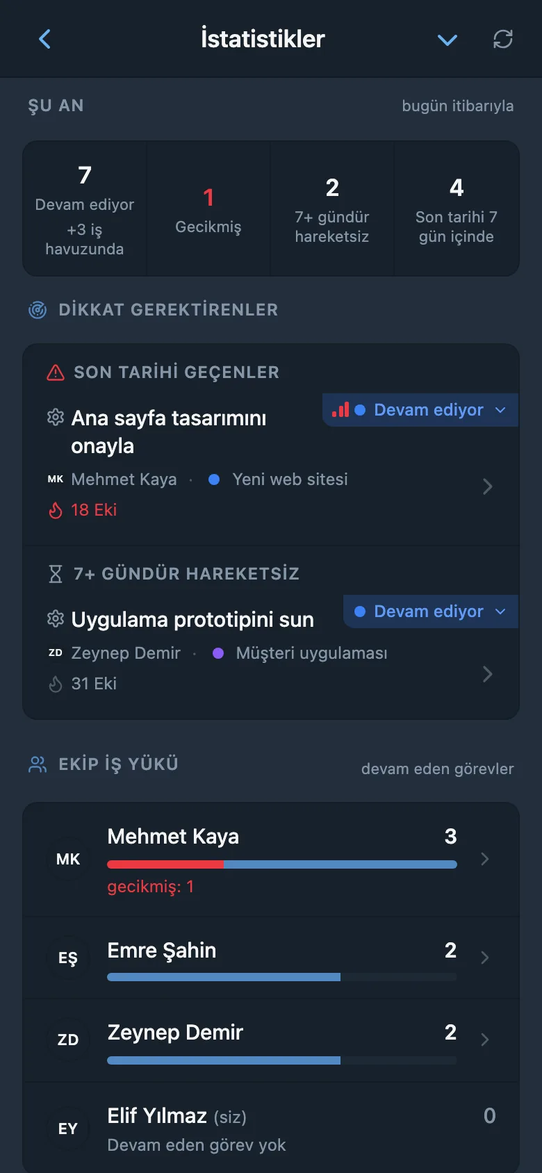 İstatistikler ekranı: devam eden, gecikmiş ve hareketsiz görevler, dikkat gerektiren görevler ve üyelerin iş yükü