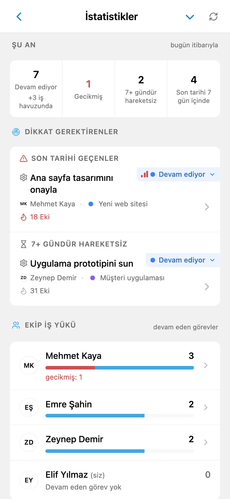 İstatistikler ekranı: devam eden, gecikmiş ve hareketsiz görevler, dikkat gerektiren görevler ve üyelerin iş yükü