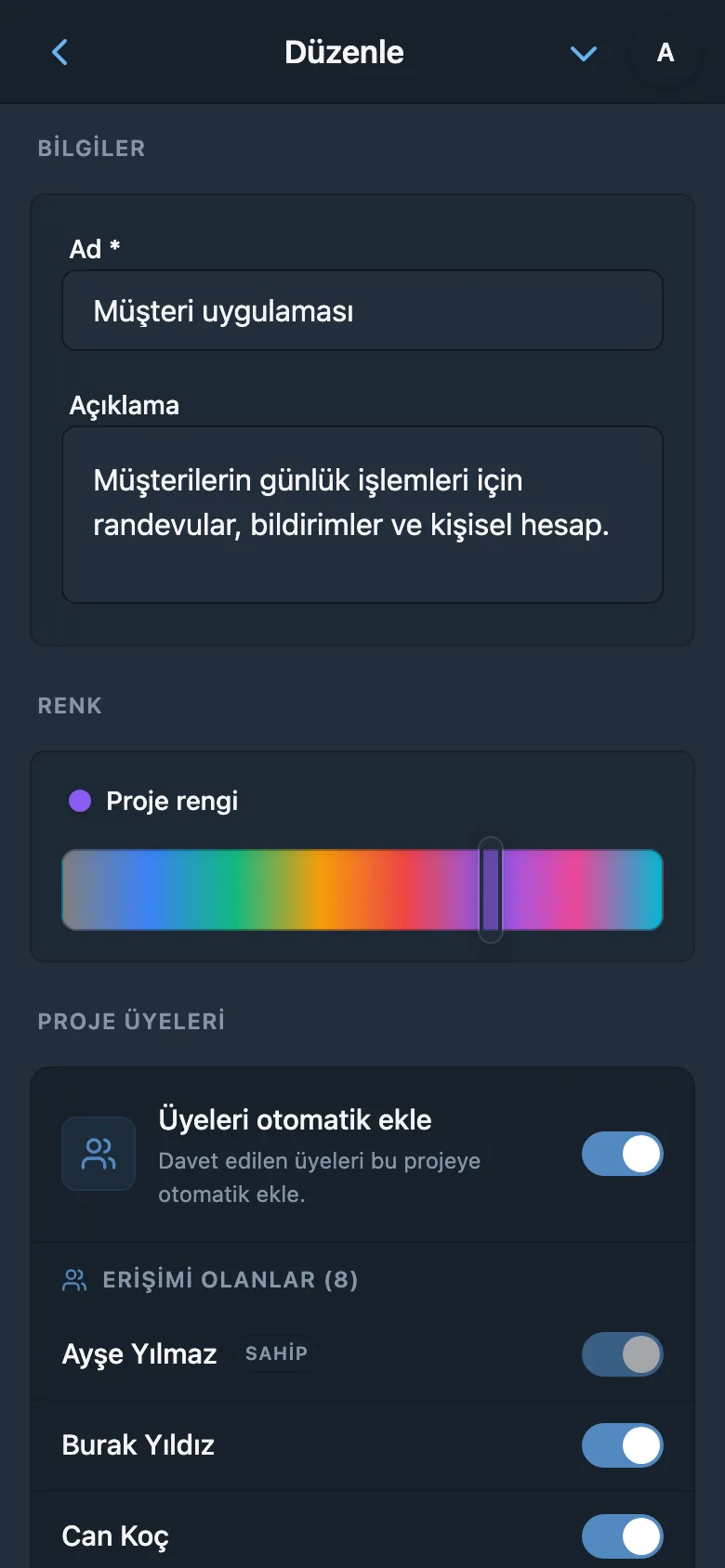 Proje ayarlarında renk seçimi