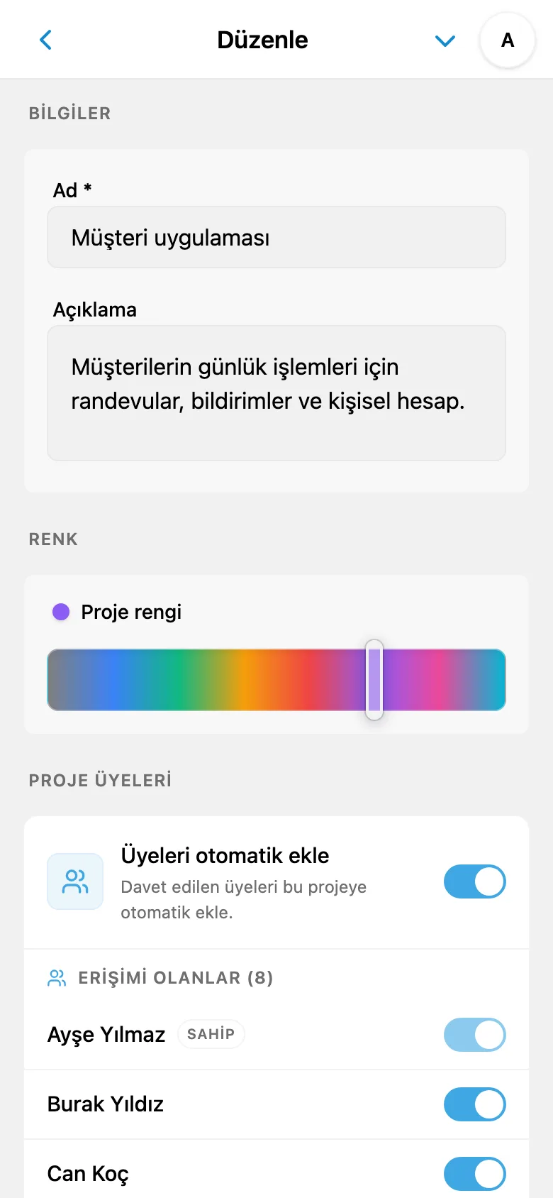 Proje ayarlarında renk seçimi