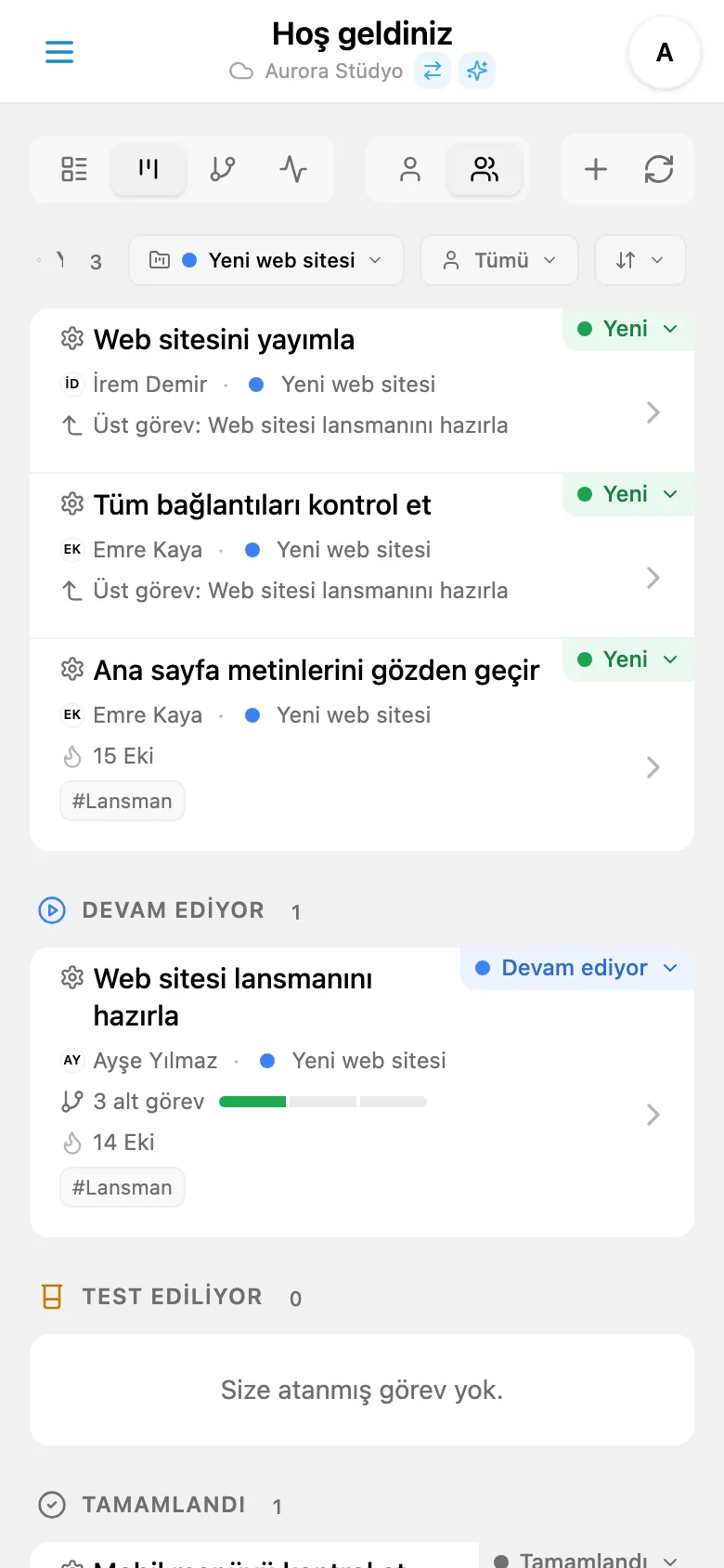 Seçili projenin renk etiketiyle gösterilen görevleri