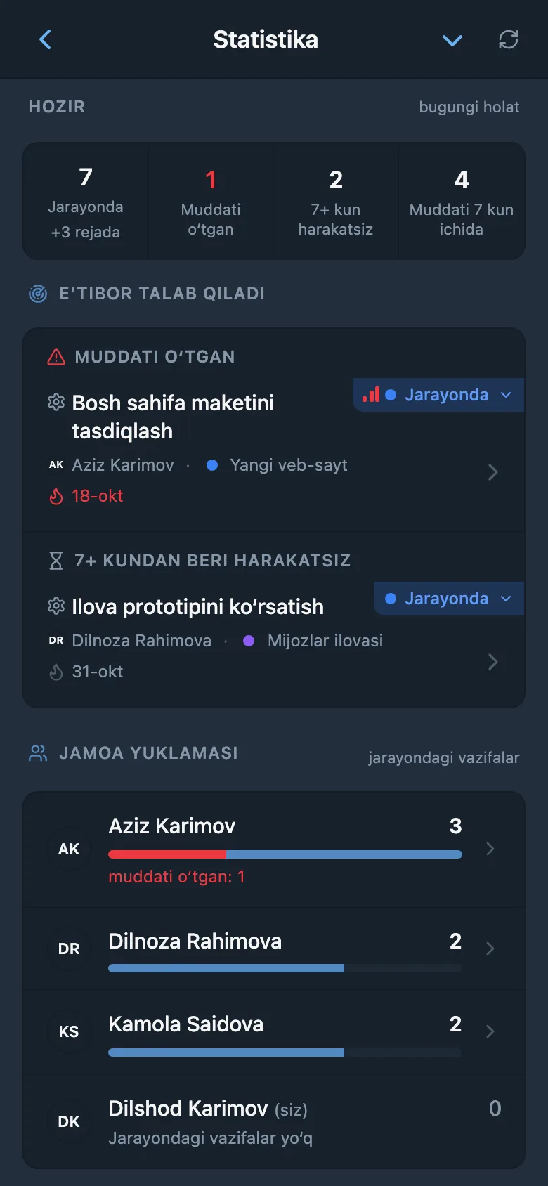 Loyiha va jamoa a’zolari bo‘yicha ish statistikasi