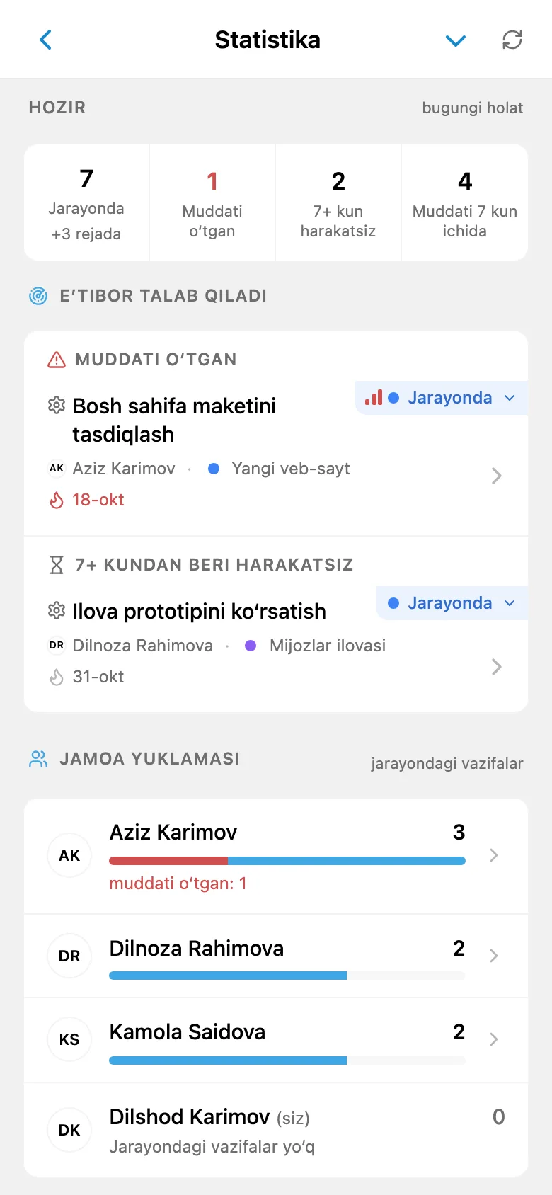 Loyiha va jamoa a’zolari bo‘yicha ish statistikasi