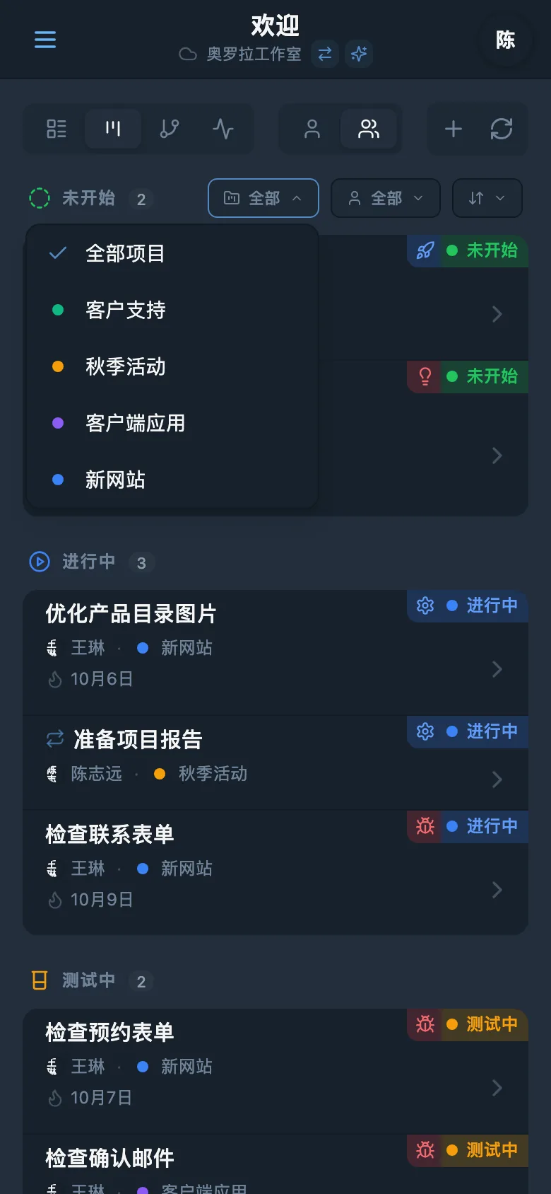 按项目筛选任务的面板