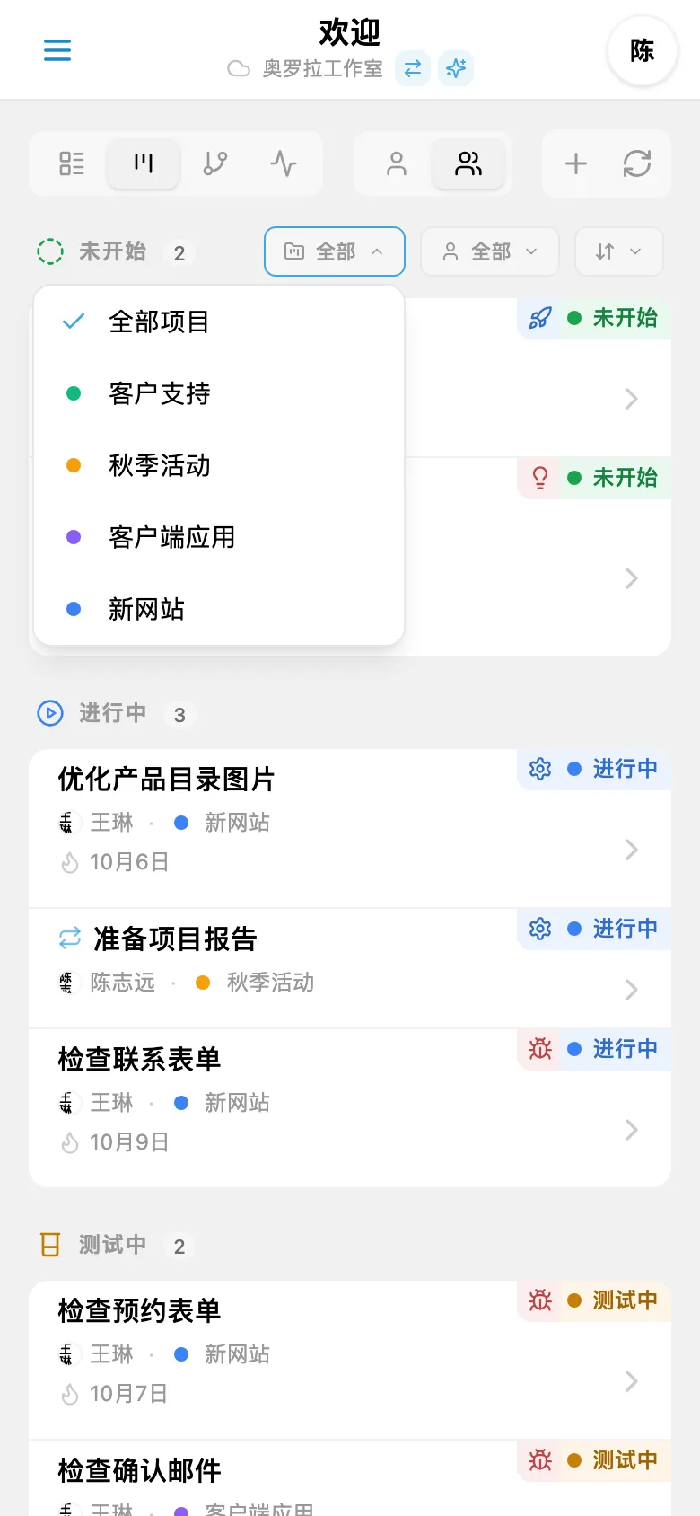 按项目筛选任务的面板